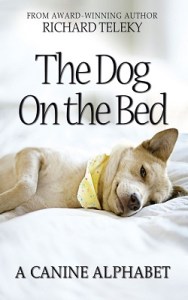 Dog on the Bed 2